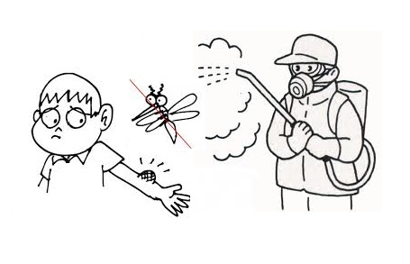 Biện pháp phòng tránh và diệt muỗi hiệu quả