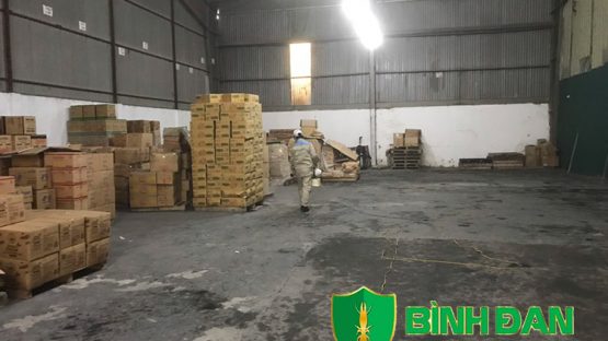 Hình ảnh phun thuốc diệt mối và côn trùng cho kho xưởng tại Hà Nội